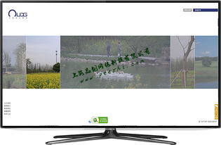 松江网站建设 如何打造引人入胜的商品图相册提升用户体验