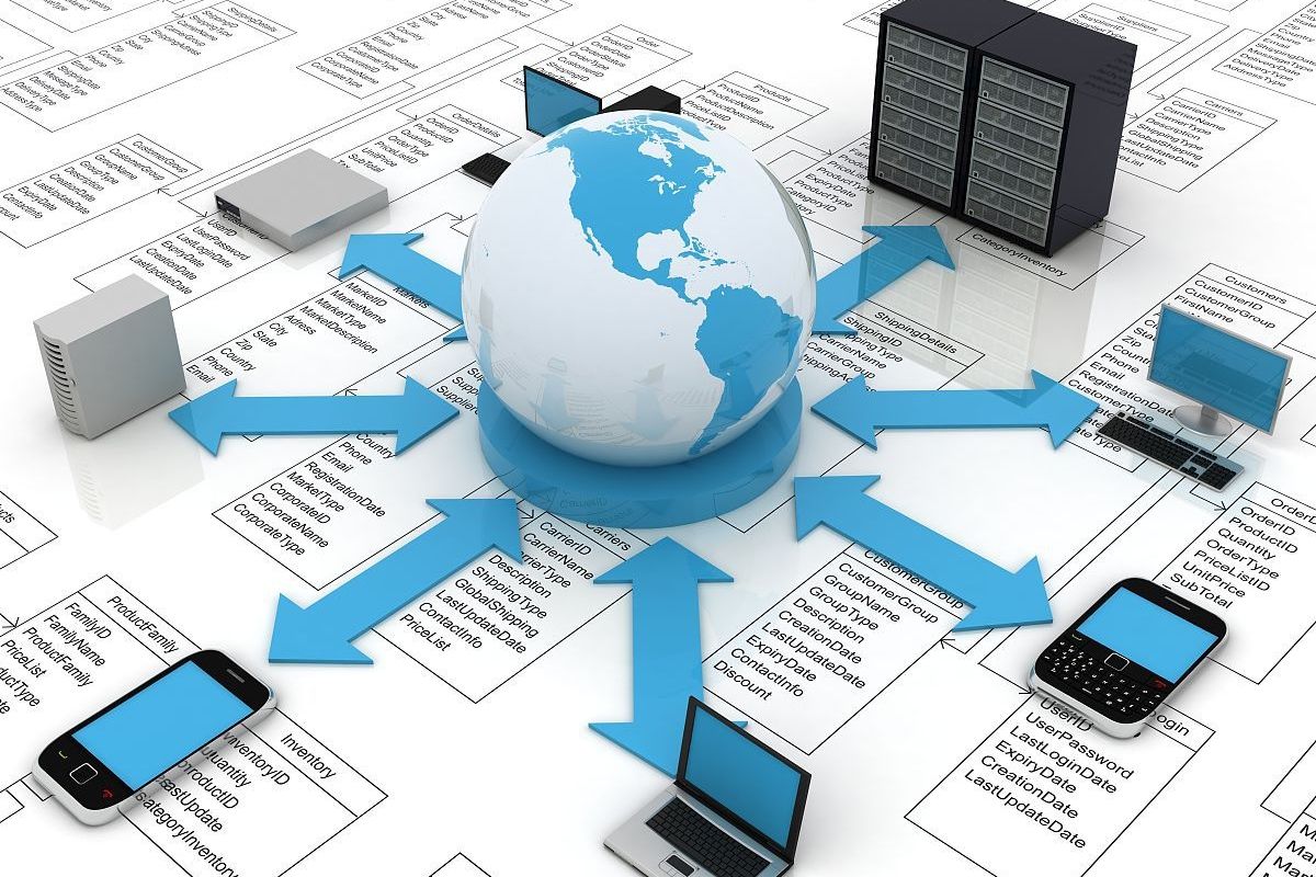 大庆网站建设 精准定位目标用户，打造高效数字门户